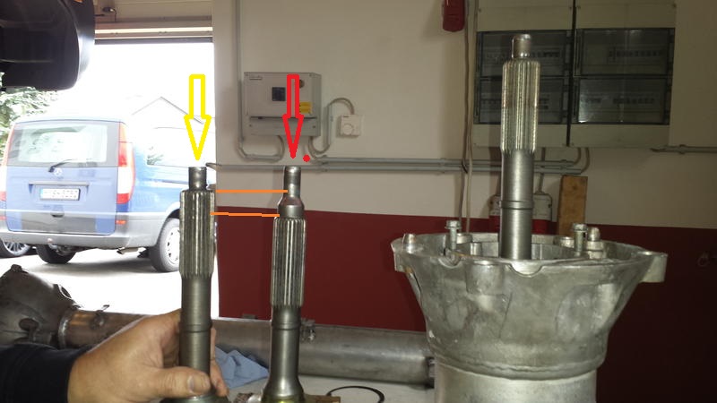 15903359xc.jpg