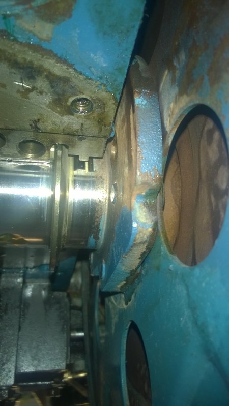 WP_20160513_016.jpg