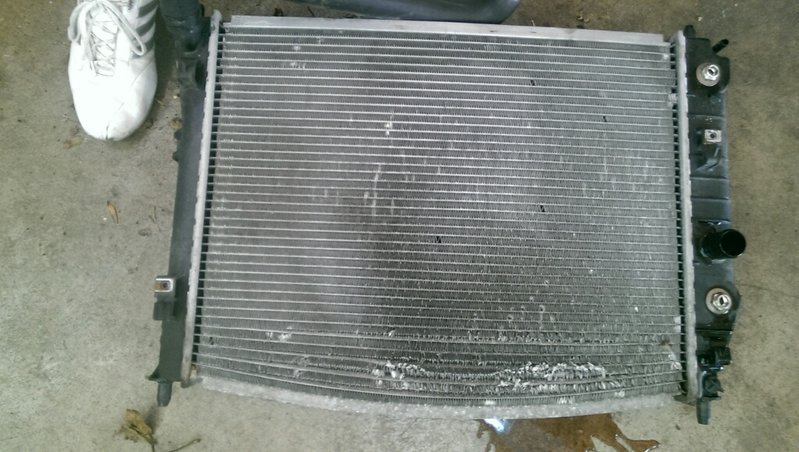 IMAG0976.jpg